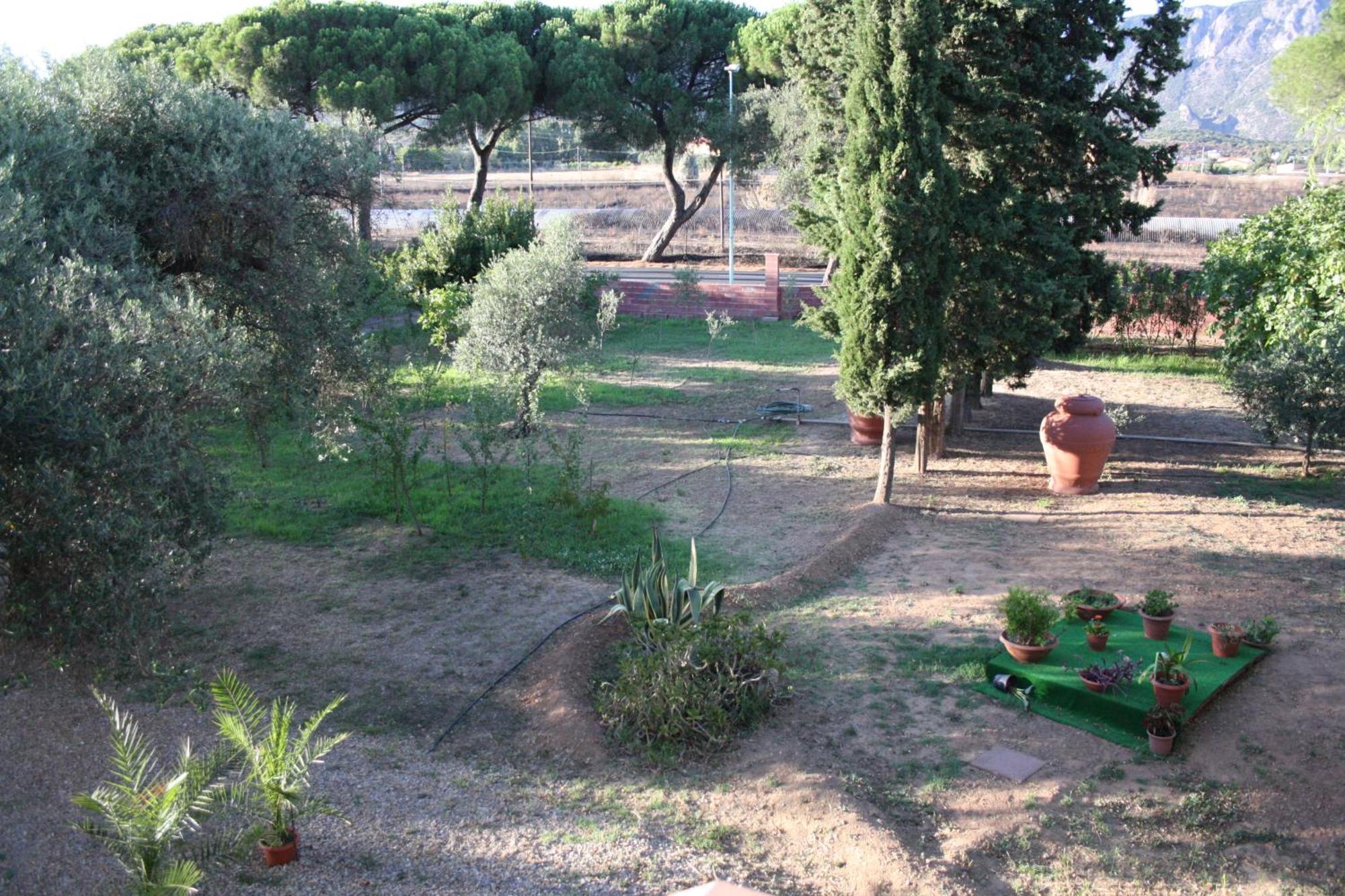 Casa L' Antico Ulivo Apartment Iglesias Exterior foto