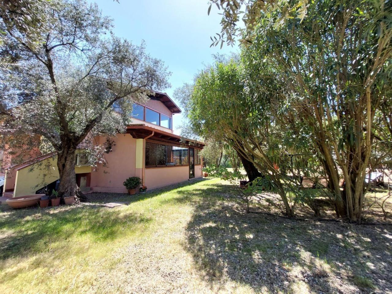 Casa L' Antico Ulivo Apartment Iglesias Exterior foto